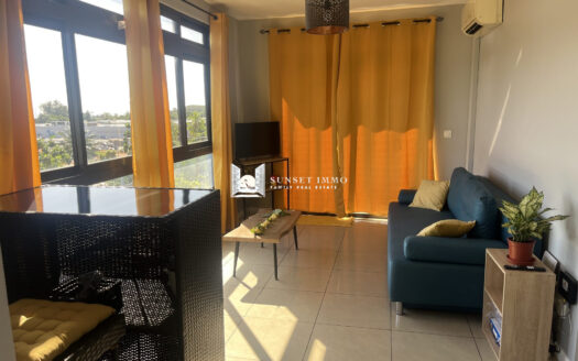 A VENDRE BEL APPARTEMENT F2 – PUNAAUIA